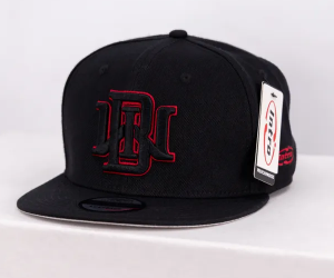 IBW (Intro brand custom snap back)